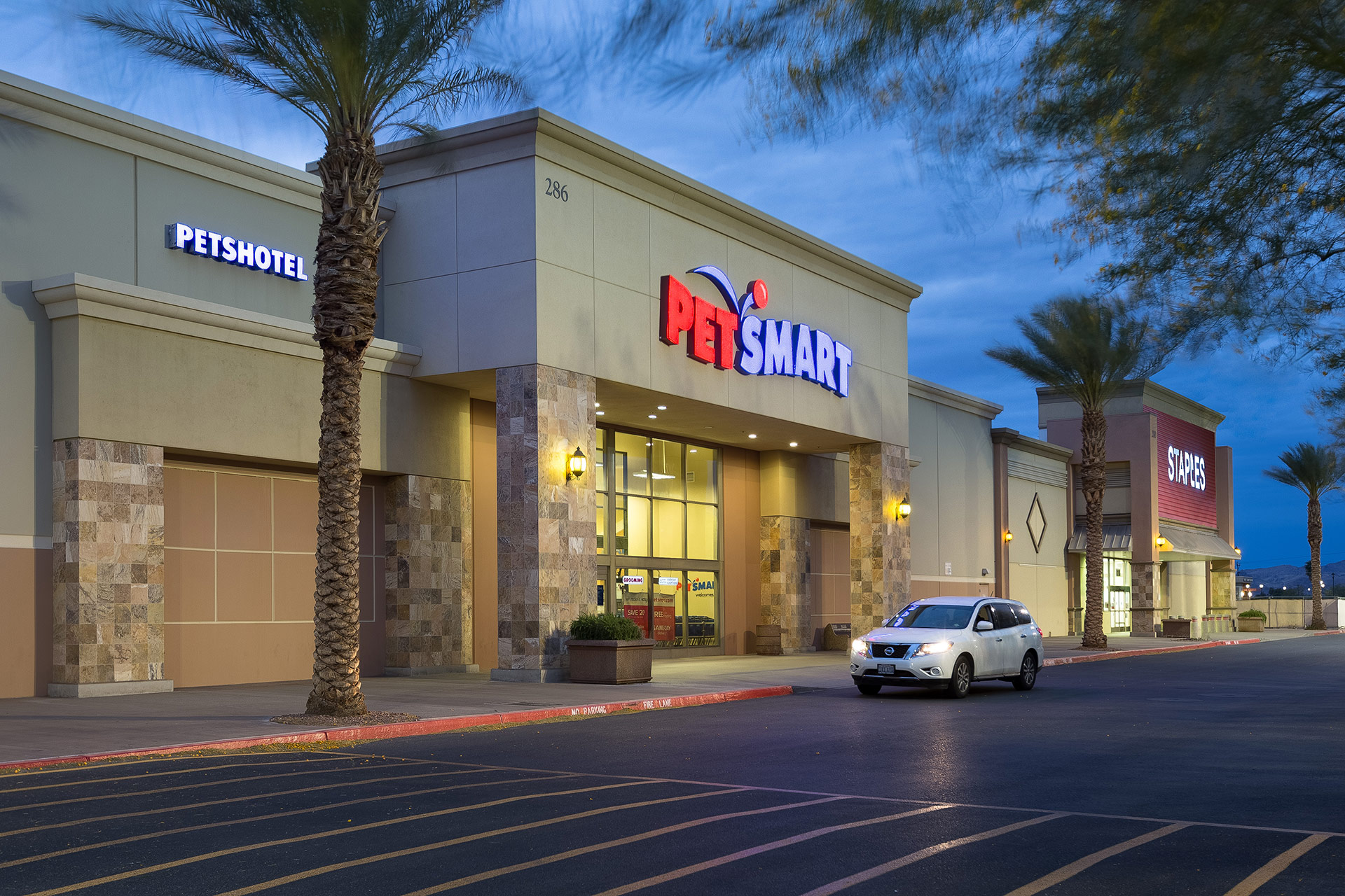 A beige Petsmart retail store at dusk with brown and beige tiled accents on pillars, palm trees and a white car in front and a Staples store beside it.