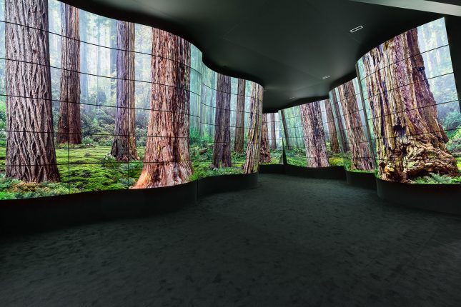 A dark wavy tunnel made of curved LED TVs displaying a forest scene.